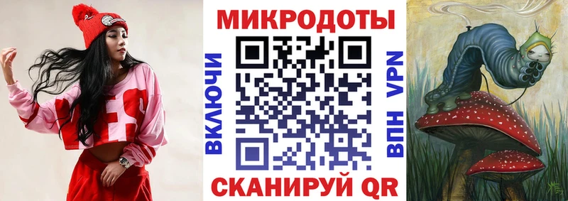 Галлюциногенные грибы Psilocybine cubensis  Купить закладки  Камешково 